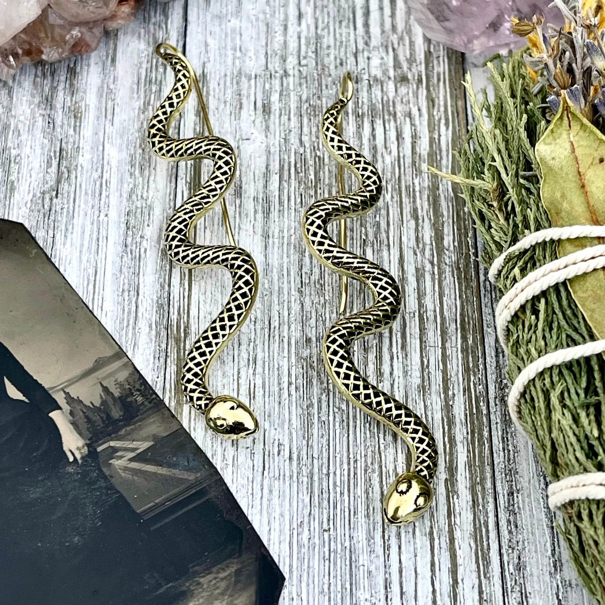 Long Large Brass Serpent / Snake Earrings