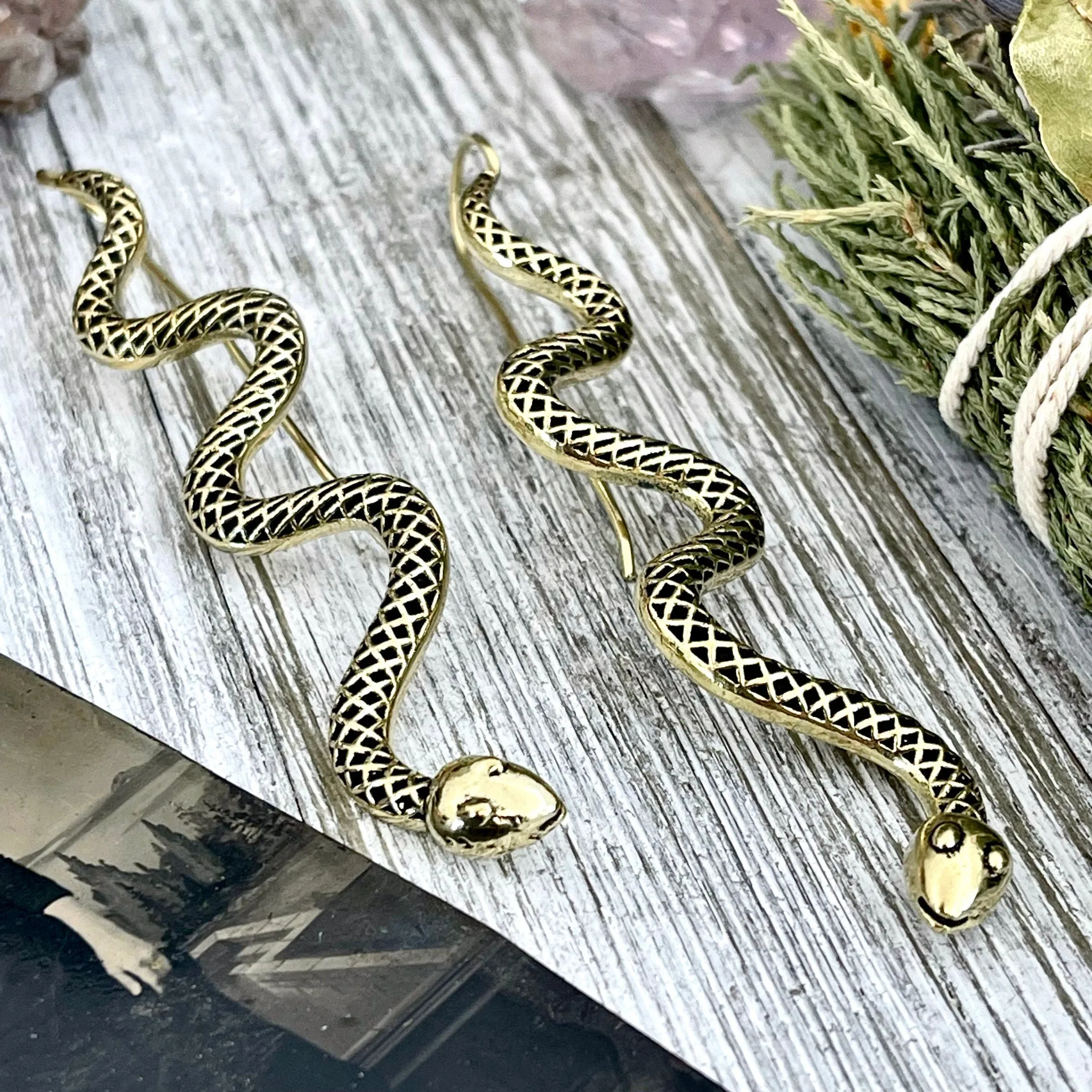 Long Large Brass Serpent / Snake Earrings