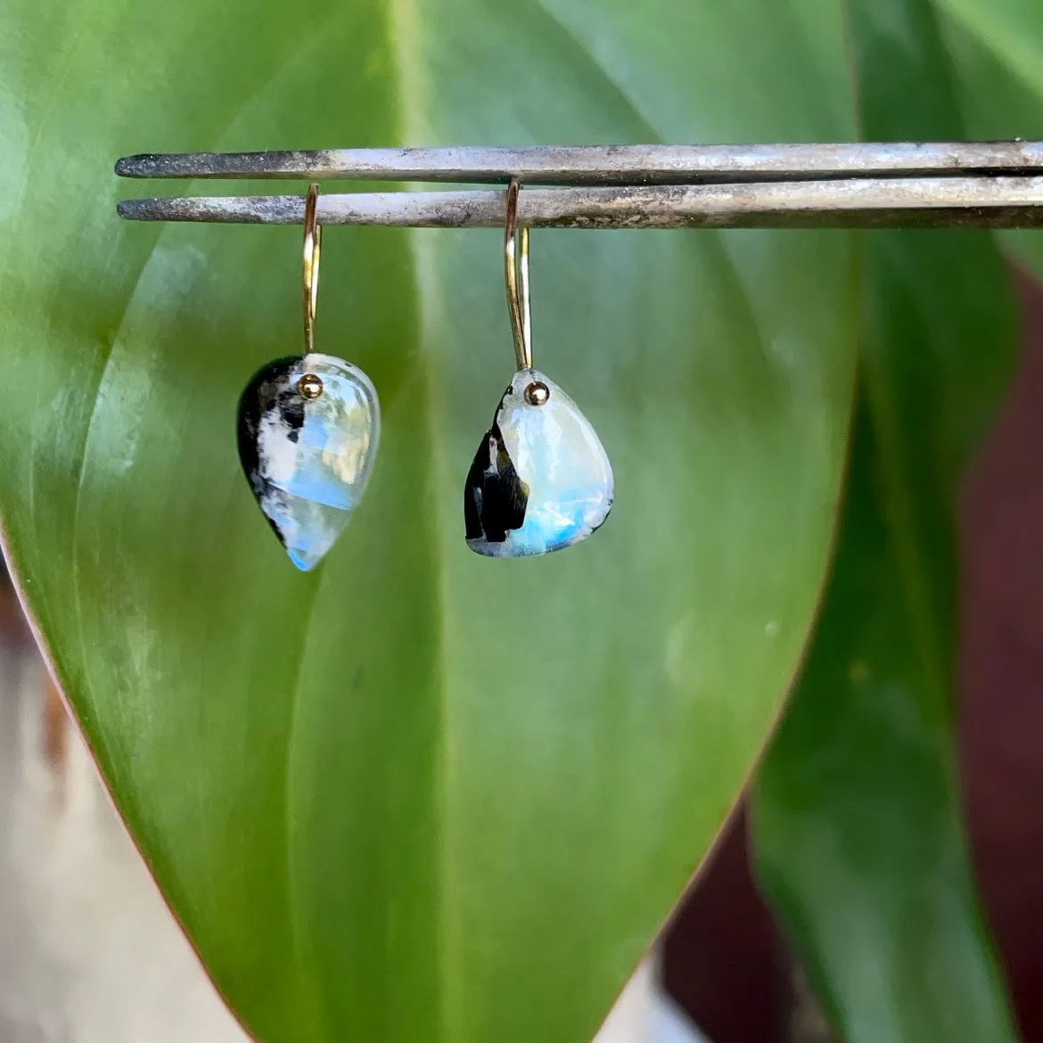 Petite belly teardrop earrings